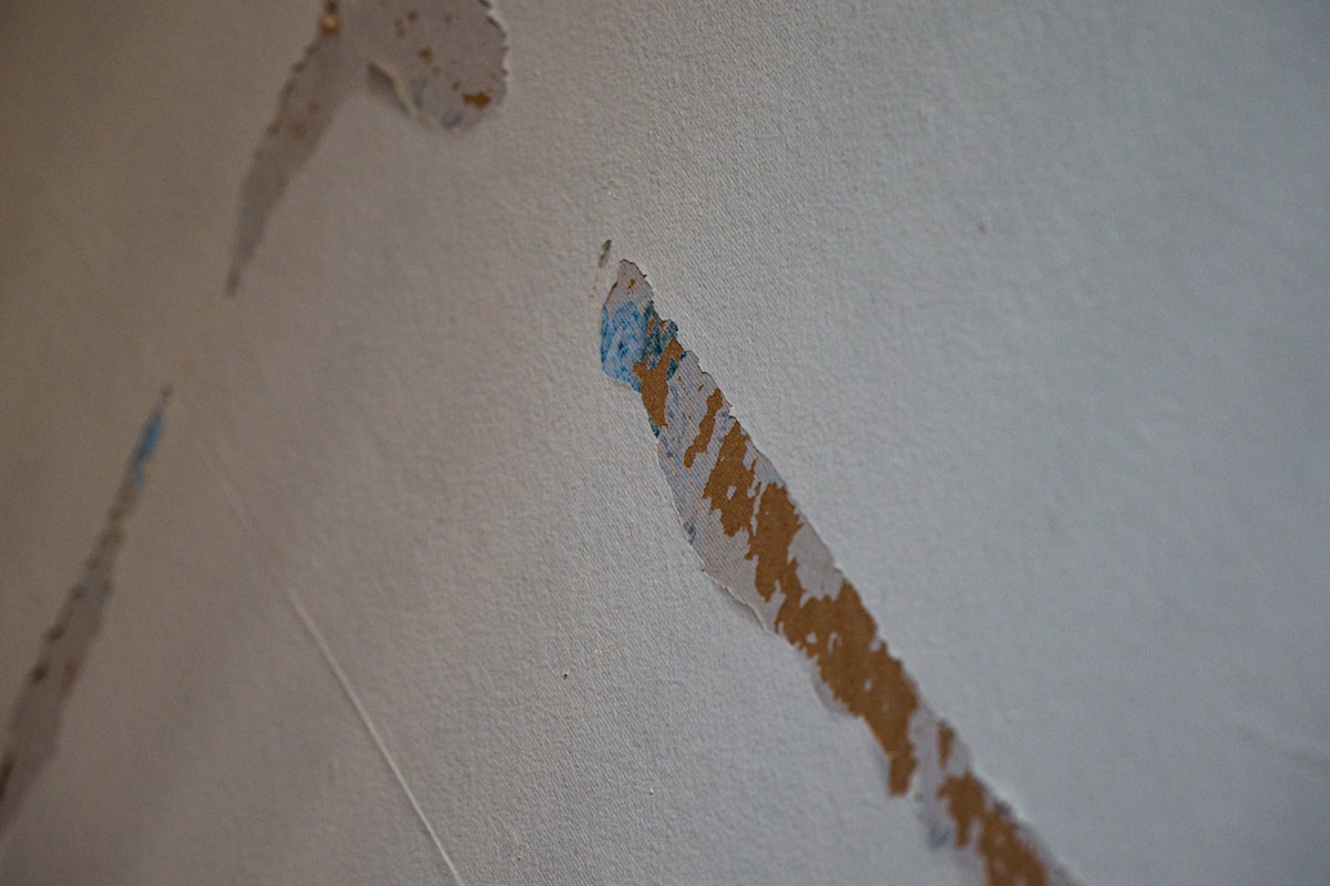 Mold Remediation service in Ogden, UT